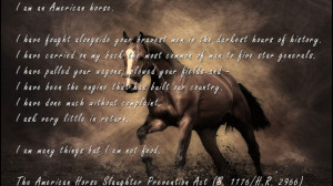 ... War Horse about inhumane Horse Slaughter and our Wild Horse and Burro