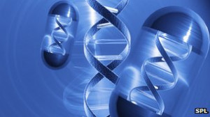 Gene therapy aids immune disease, says Great Ormond Street Hospital