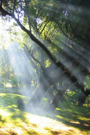Nature Wallpapers