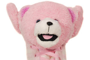 Teddy Bear Boy Shadow