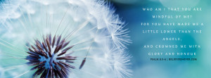 cover photo, Psalm 8:5-6, bible verse facebook banners, bible quotes ...