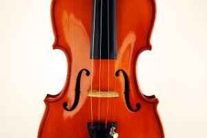 The sound from the violin, is determined by the shape of the body, the ...