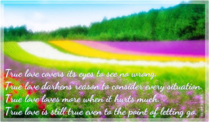 true love covers its eyes to see no wrong true love darkens reason to ...