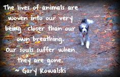 ... Pet Grief, Grief For A Dogs, Grief Pet Dogs And Cat, Dogs Death Quotes