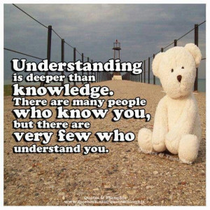 Understanding is deeper than knowledge.