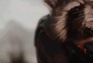 rocket-raccoon-trailer.gif