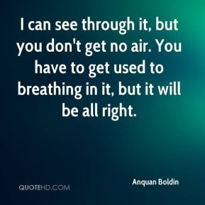 Anquan Boldin - I can see through it, but you don't get no air. You ...