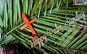 Palm-Sunday-One-Cross-Photo-HD