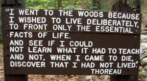 When Henry Thoreau went to Walden Pond in 1845, I wonder what he ...