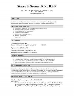 Sample Resumes For Youth Mentor picture