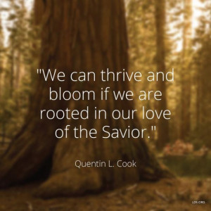 2015 General Conference Quotes | Quotes(: | Pinterest