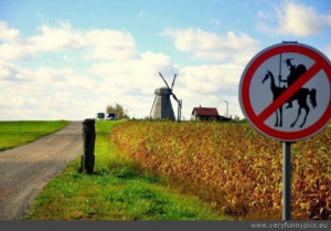 Don Quixote not allowed