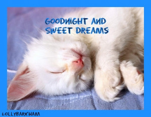 Dreams sweet dreams kitten