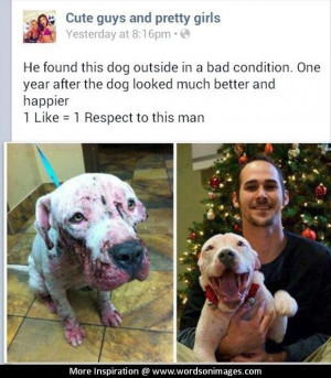 Restore faith in humanity story