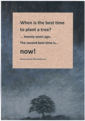 When Is The Best Time To Plant A Tree