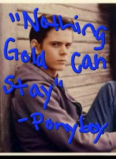 Ponyboy Curtis Quotes Quote