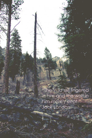 up the icicle & one of my fav jack london quotes!