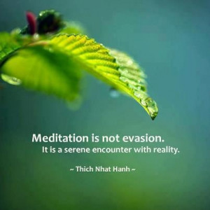 ... , Buddha, Quotes About Life, Serenity Encounter, Thich Nhat Hanh