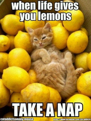 when life gives you lemons, take a nap