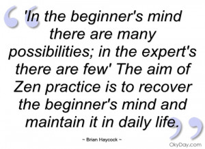 In the beginner's mind there are many