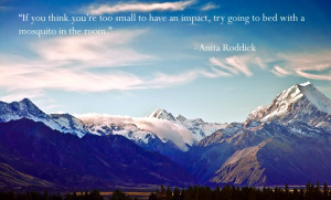 If you think you're too small to have an impact, try going to bed with ...