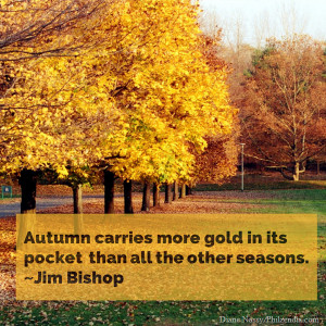 Autumn carries more gold in its pocket than all the other seasons ...