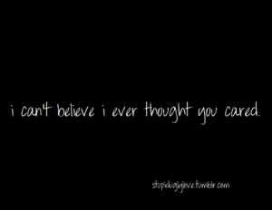 You Never Cared Quotes Liar you never cared about