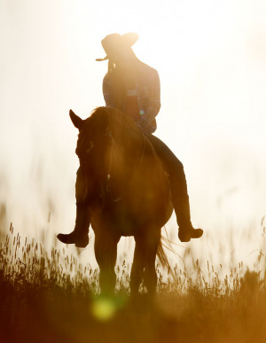 ... horses michigan senior pictures at horse ranch grand ledge michigan