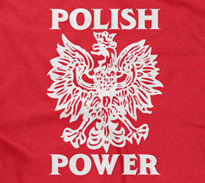 ... -POWER-T-SHIRT-polska-poland-funny-saying-sayings-mens-men-guys-guy