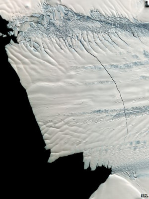 The Pine Island Glacier developed a large crack in 2011 but scientists ...