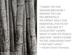 woods quote more wood quotes 1