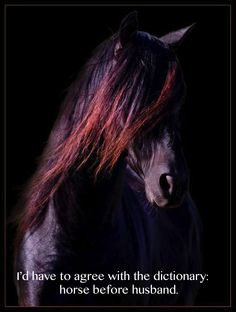 ... quote quotation, horse photo, 