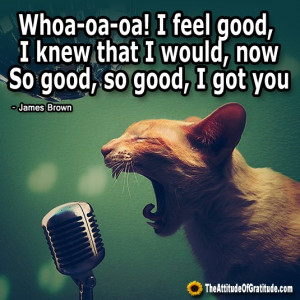 James Brown Kitty. I feel good. Uhh.