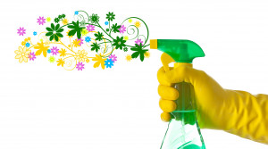 Spring is a Great Time to Make Your Home Clean and Safe