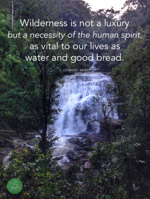 Wilderness is not a luxury but a necessity of the human spirit, as ...