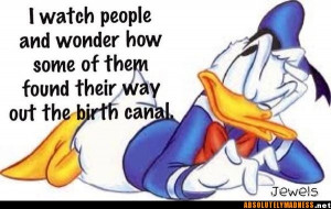 Funny Donald Duck Quotes Donald duck. via jenny bowman