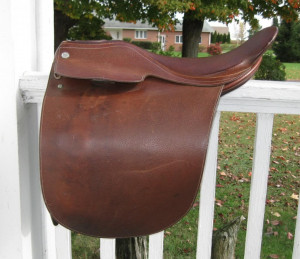 ... Show off your saddles! at the Tack & Equipment forum - Horse Forums