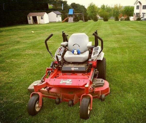 think you should do the lawn.”