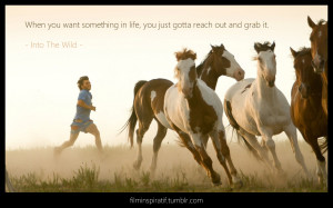 Quote from Into The Wild