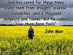 God has cared for these trees, saved them from drought,