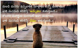 ... telugu quotes funny love quotes telugu funny quotes love telugu