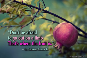 Quote: “Don't be afraid to go out on a limb. That's where the fruit ...