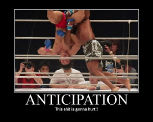 Thread: Funny MMA Pics