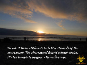 Pierce Brosnan quote