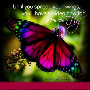 Quote - Spread Your Wings