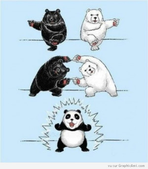 Fusion entre Deux Ours pour donner un Panda