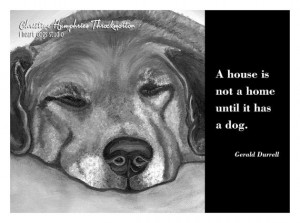 NEW Dog quote card Lab mix / Gerald Durrell by iheartdogsstudio, $4.00