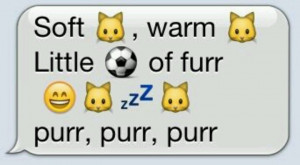 Soft Kitty song in pictures.. from Sheldon Cooper on Big Bang Theory
