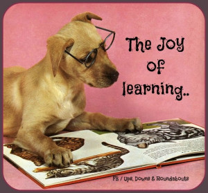 The Joy of learning..