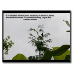 Wallace Stevens Quote Postcard